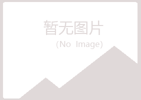 天山区含烟会计有限公司